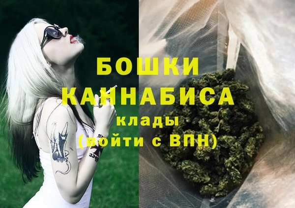 дмт Нягань