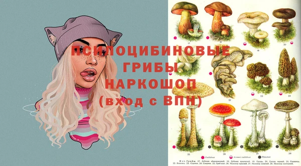 Альфа ПВП Новокубанск