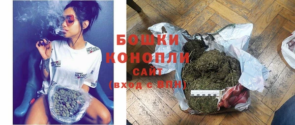дмт Нягань