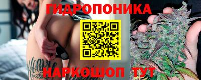 ПСИЛОЦИБИНОВЫЕ ГРИБЫ Заводоуковск