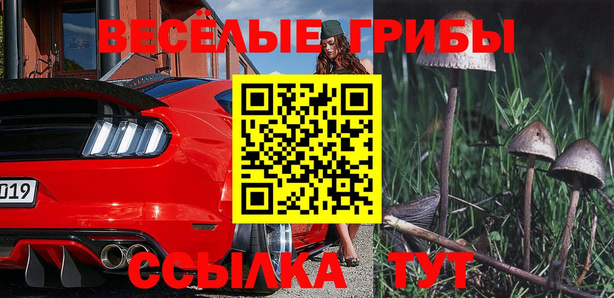 Псилоцибиновые грибы Psilocybe Красный Сулин