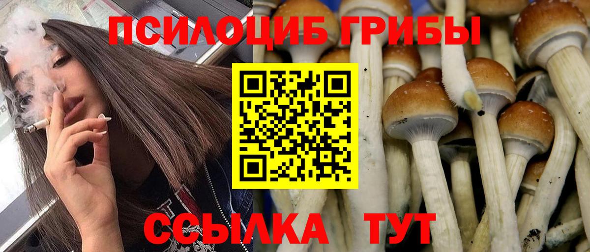 Красный Сулин  Галлюциногенные грибы MAGIC MUSHROOMS  Вход с VPN 